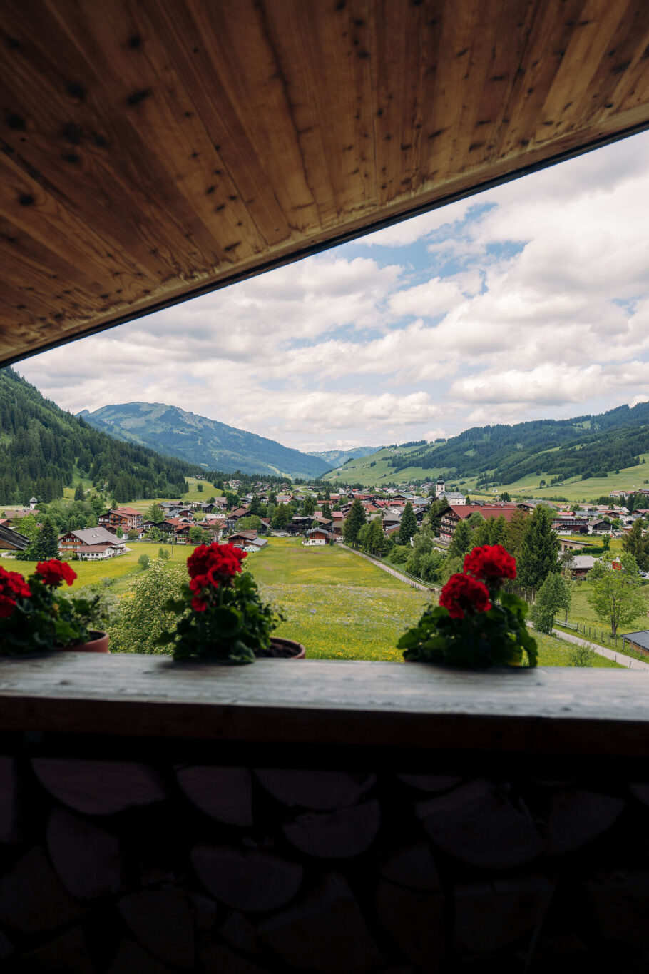 Ausblick Jungbrunn Einzelzimmer Almweide